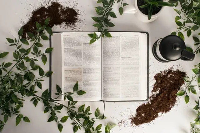 bible with plants and dirt gardening