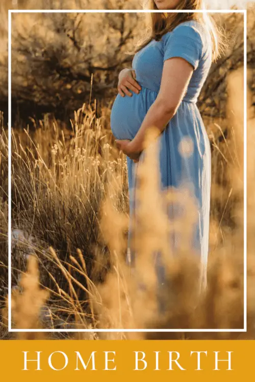 Pregnant Woman in Field "Home Birth" Wearing Blue Dress 